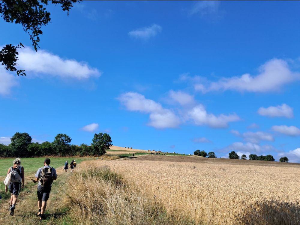 Randonnée Agriculturelle dans les Monts du Lyonnais